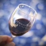 Penman Springs Wine Glass